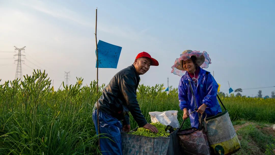 迎接党的20大美术作品,喜迎二十大乡村摄影展
