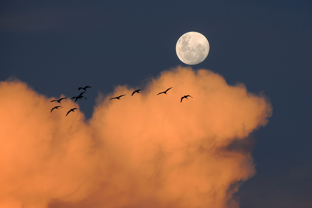 从银钩到玉盘,古诗词中的月亮,每一句里都藏着一个绝美雅称