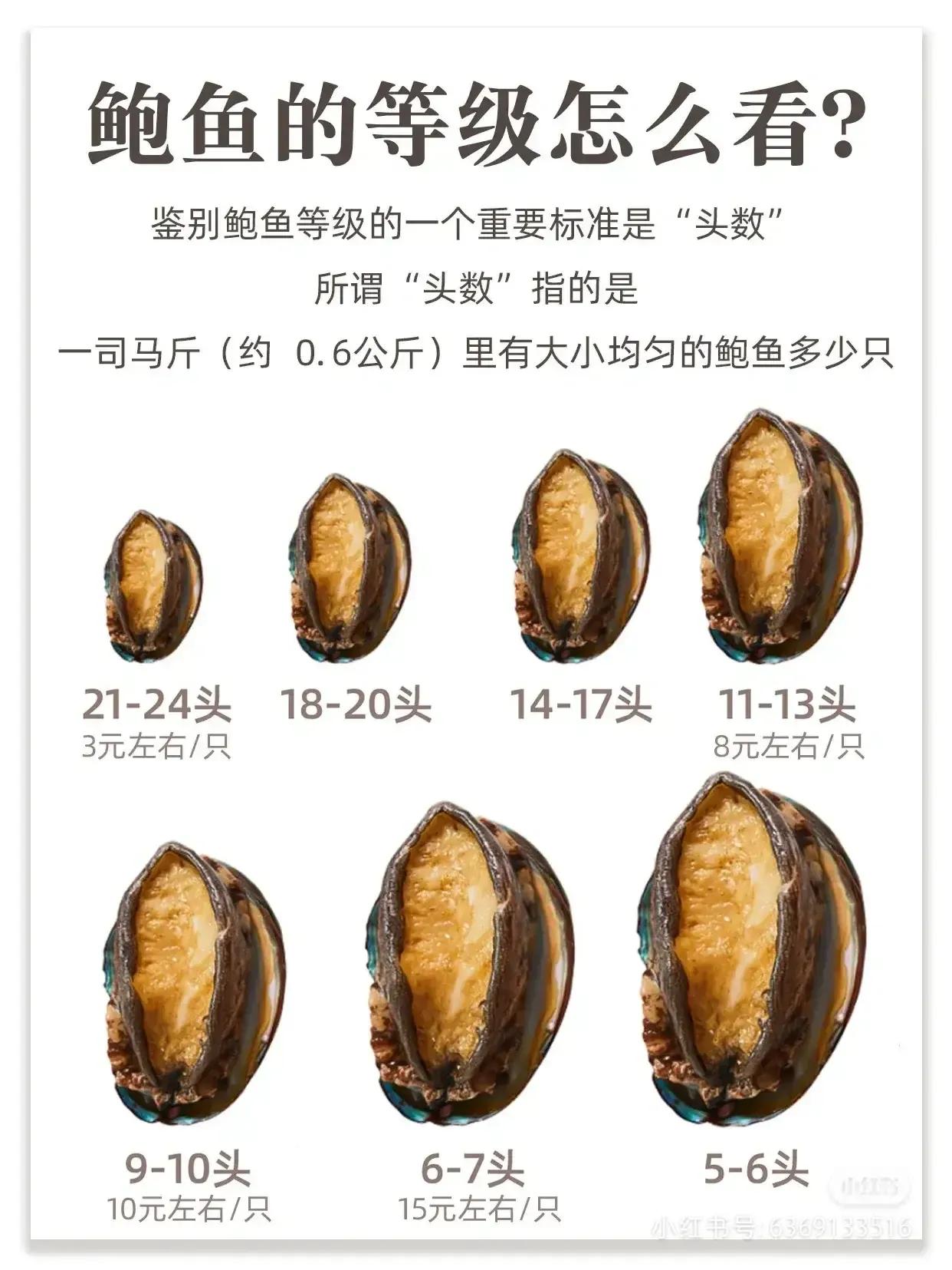 鲍鱼很多种不认识？教你它们的区别和口感，以及吃法