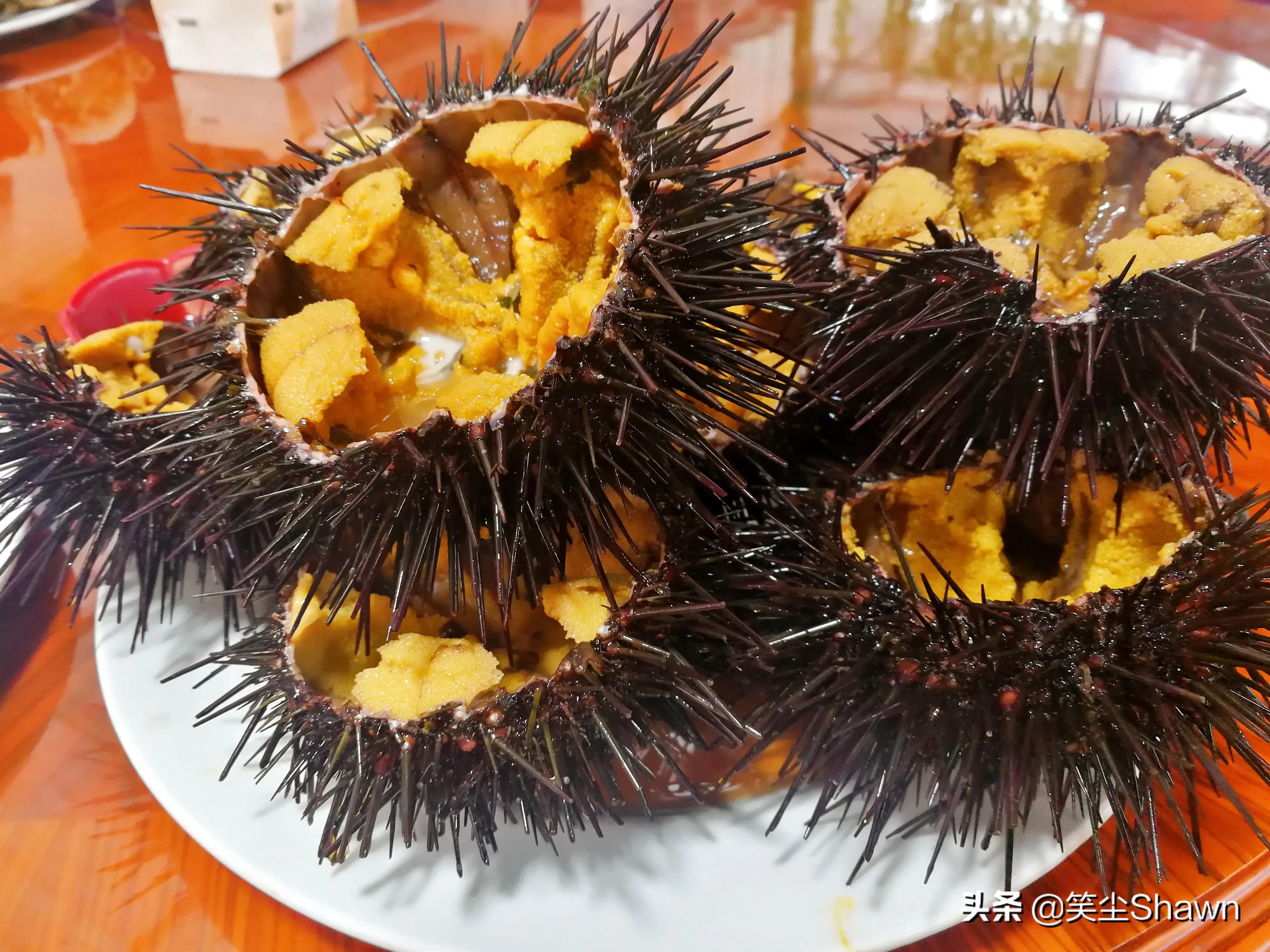 大长山岛上哪吃海鲜最好,大长山岛海鲜