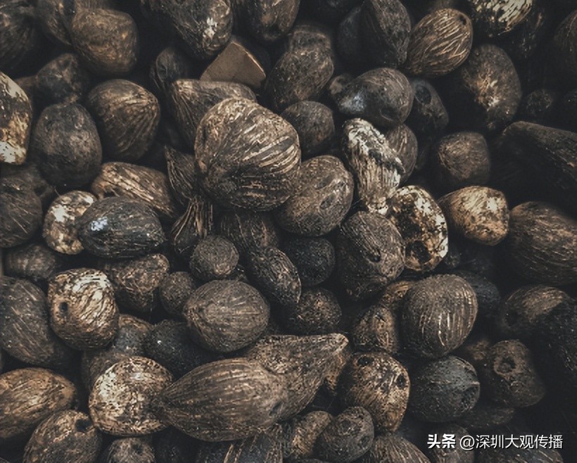 歌手傅松因嚼食槟榔去世，这“恶魔果实”是如何攻陷全国市场的？