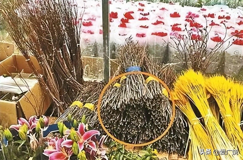 不要买！不要买！不要买！有毒