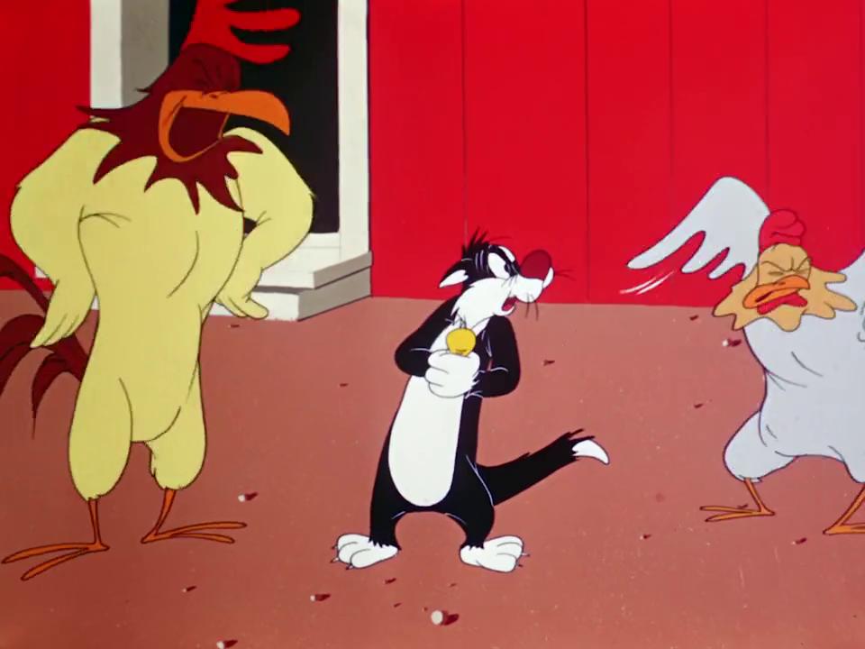 被虐的猫满嘴糊糊,可爱猫咪被虐动画