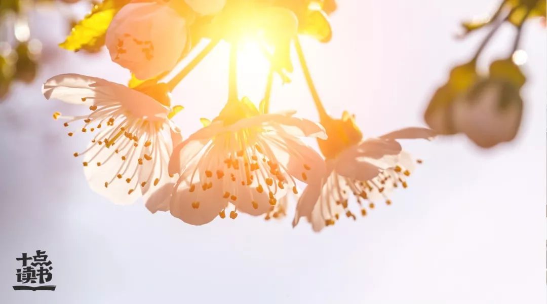 苏东坡不要把自己弄得太累,生活太累看看苏东坡10句话