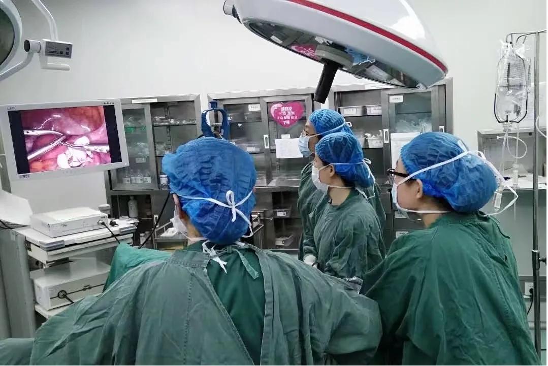 专家入驻助力科室高效发展的文章,专家教授专业研究妇科疾病