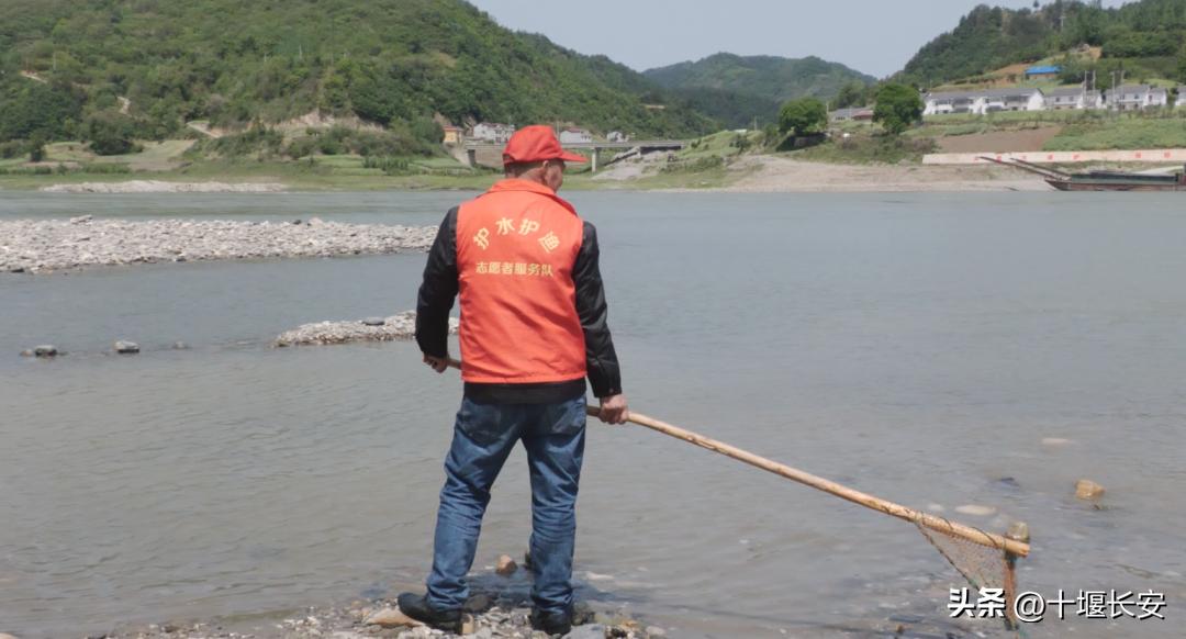 非法捕捞被判放流两千多斤,1900万尾鱼苗放流洞庭湖