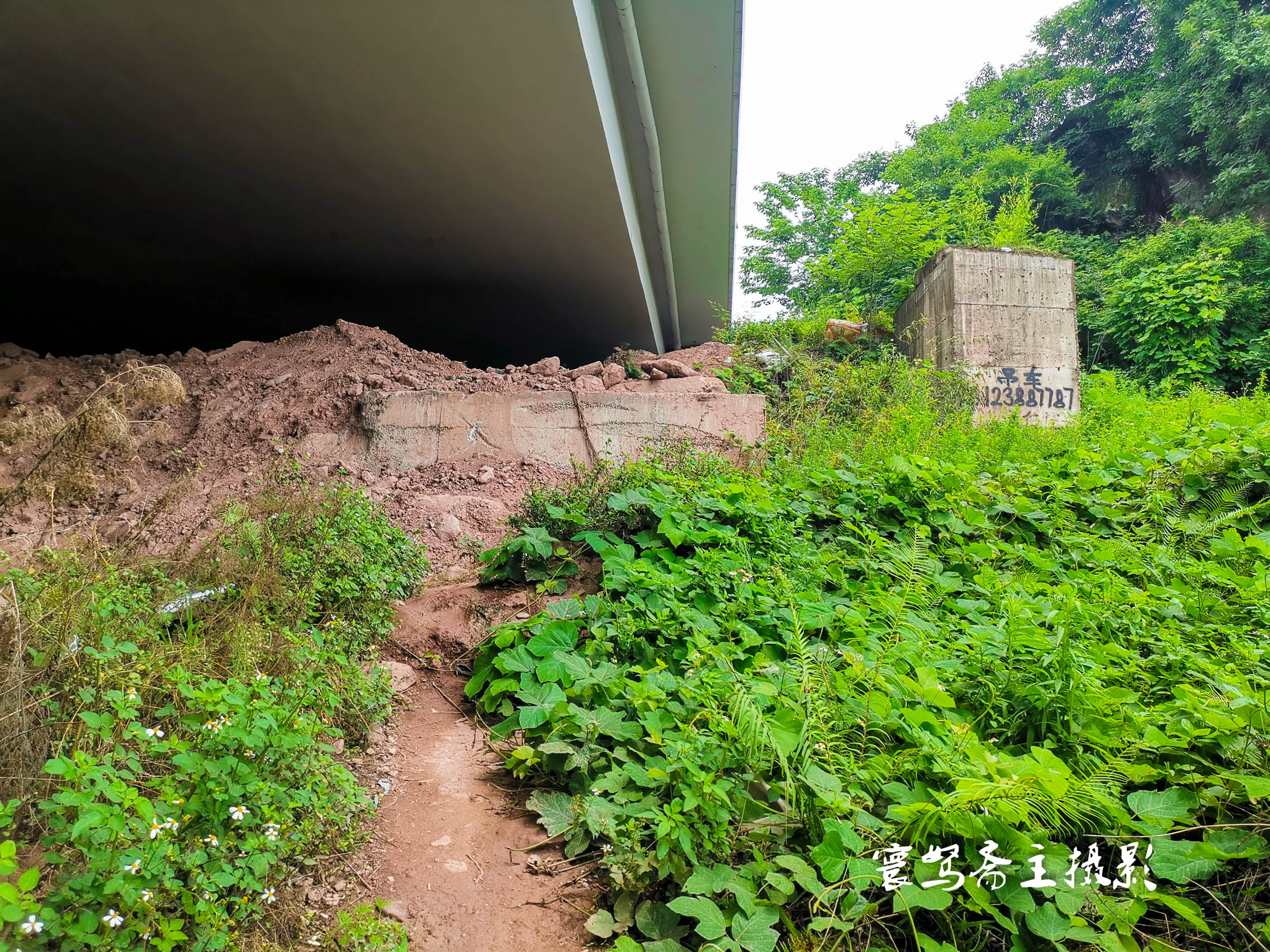 重庆长江两岸风景,茅溪偃月桥路线怎么走