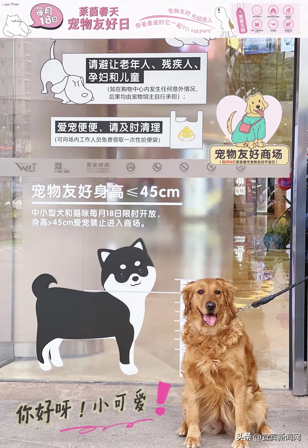 从心到新，莱茵春天——有温度的高品质生活空间