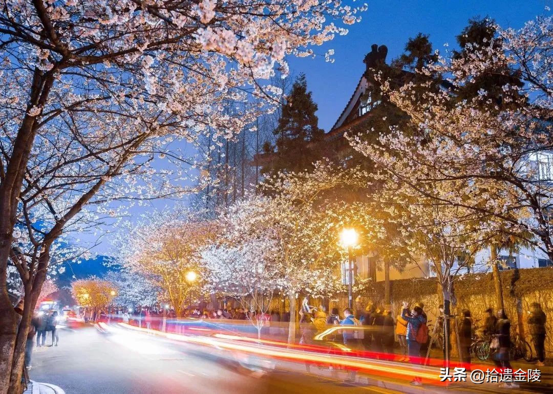 南京鸡鸣寺樱花盛开的时候,鸡鸣寺看樱花要门票吗