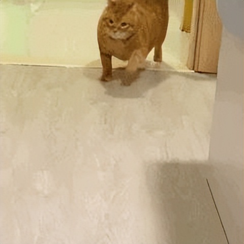 贩剑表情包评论区,贩剑表情包不回消息