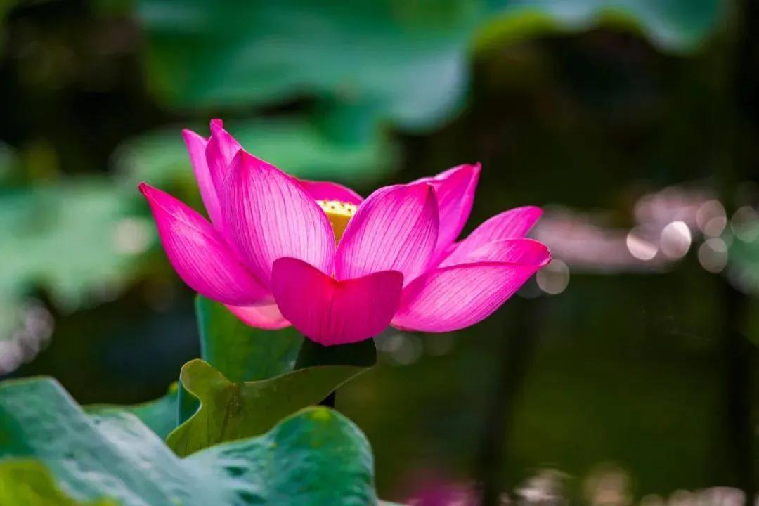 200个心理学效应 (200题心理学题库)