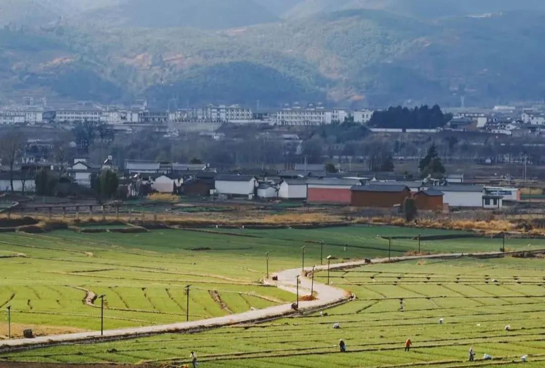 清明不用爬山游玩的地方,清明不踩坑的游玩推荐