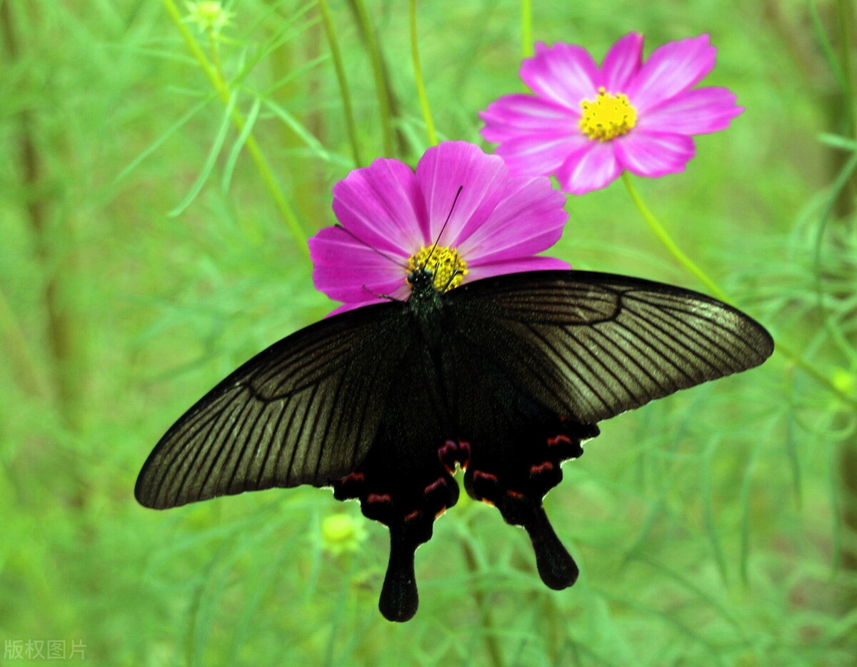 父母不在了兄弟姐妹有必要来往吗,父母不在了兄弟姐妹做好这3件事