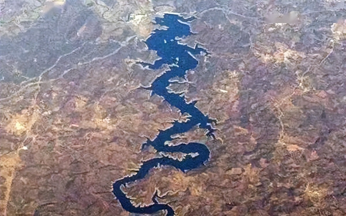 传说中的龙是由哪几种动物组成,各大传说中的龙