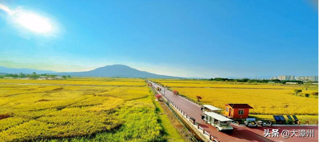 漳州拍地2023,漳州2022年首拍土地