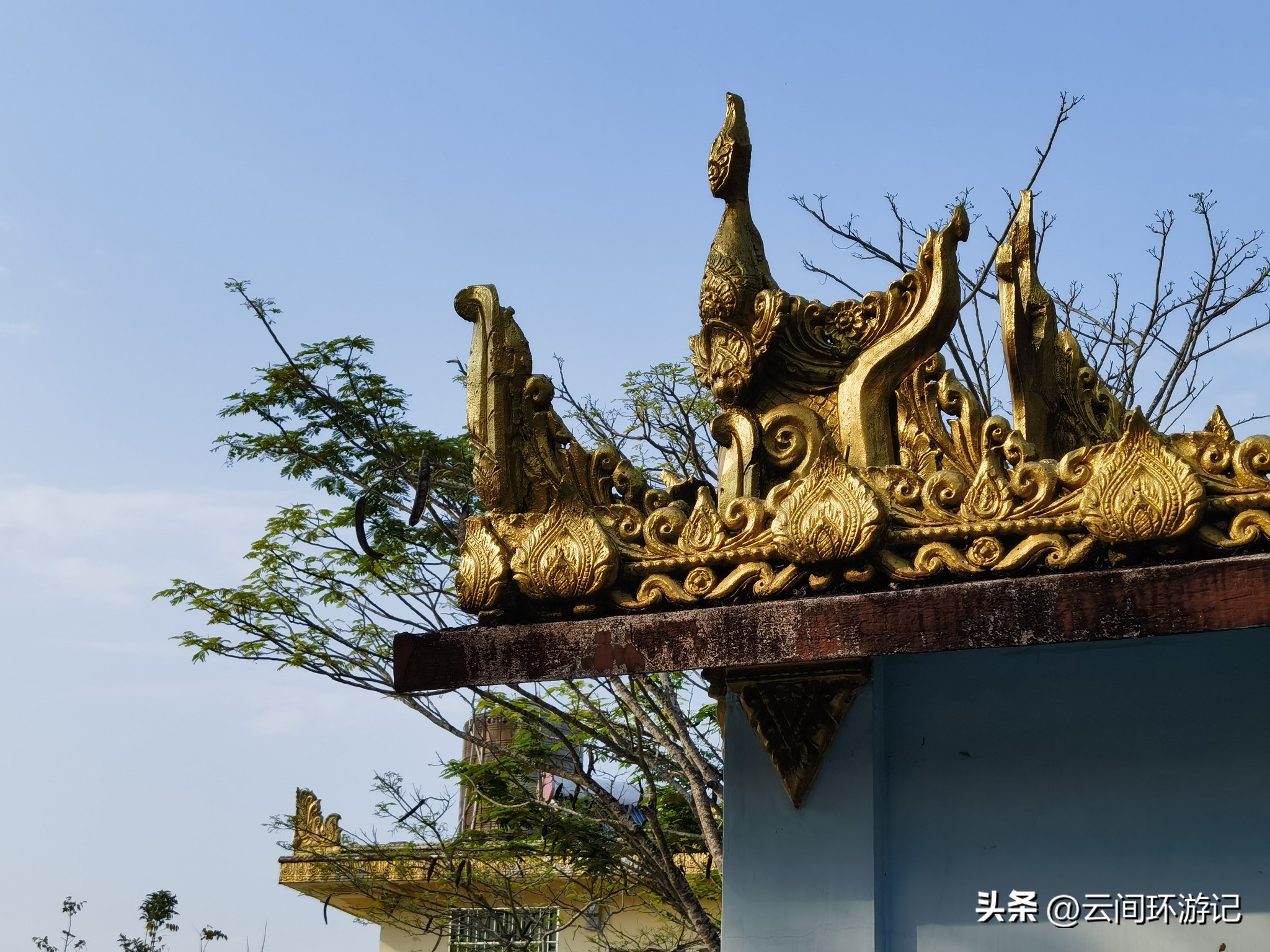 缇庝附寰峰畯娴极涔嬫梾,婕父寰峰畯