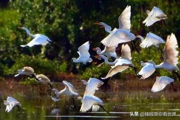 海岸线：海南岛西海岸之儋州——找寻隐秘在千年时光里的独特美景