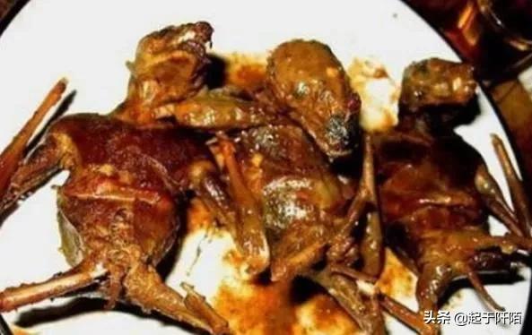 今天的越南现状 (越南真实现状如何)