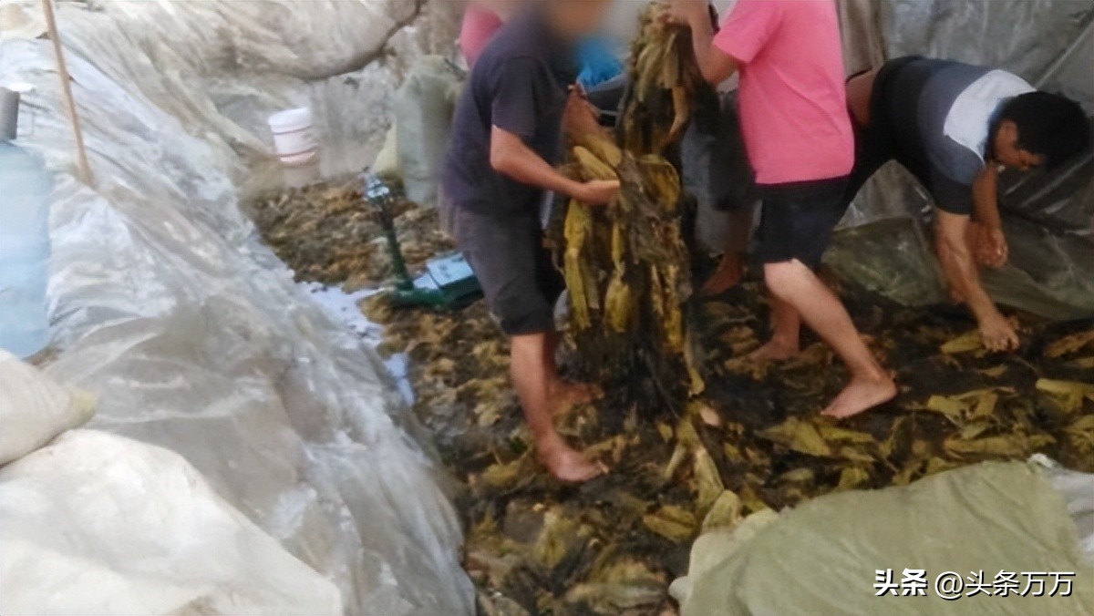 央视315晚会曝光名单来了,历年315晚会曝光的事