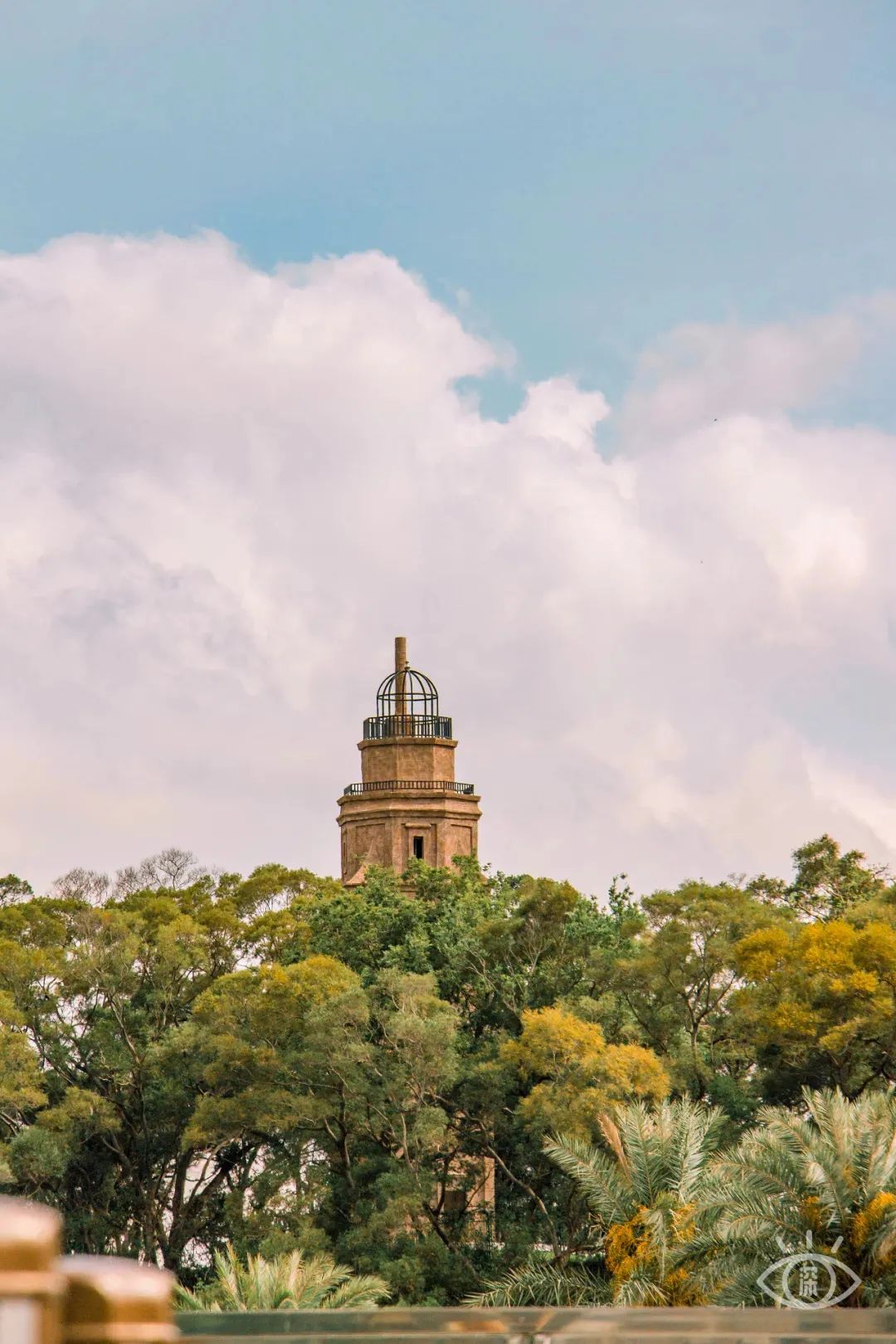 盐田必逛,盐田区必打卡的地方