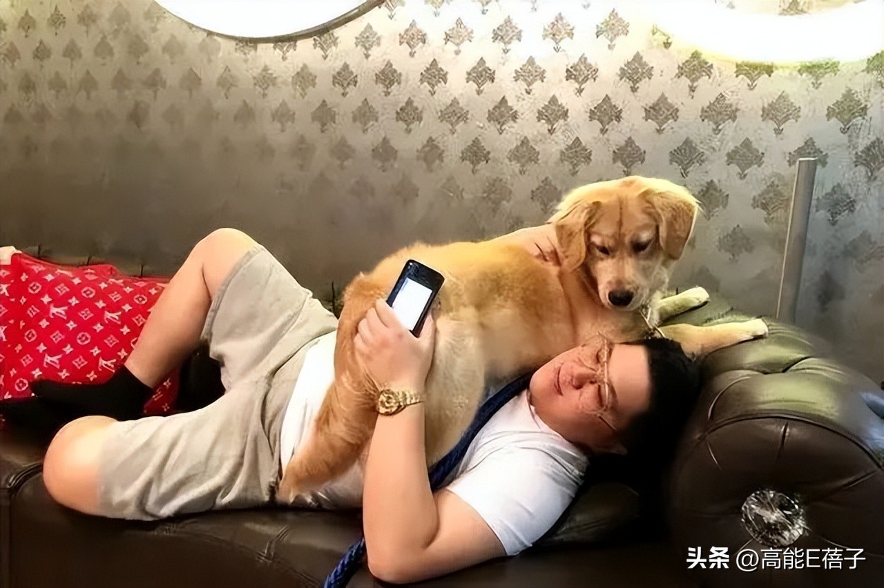 卓悦创始人全家破产，“10亿太子爷”和女明星还能好好恋爱吗？