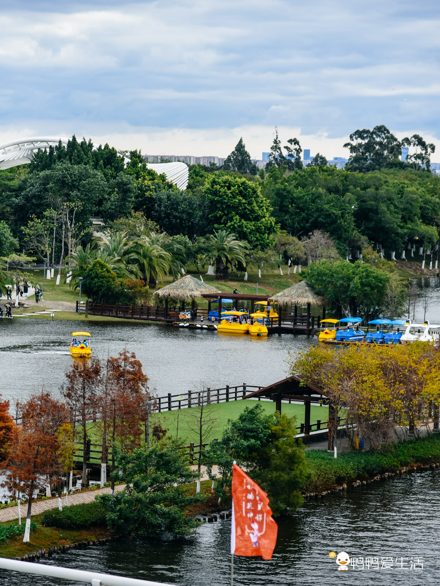 厦门园博苑郁金香有延期吗,厦门园博苑郁金香在哪里看