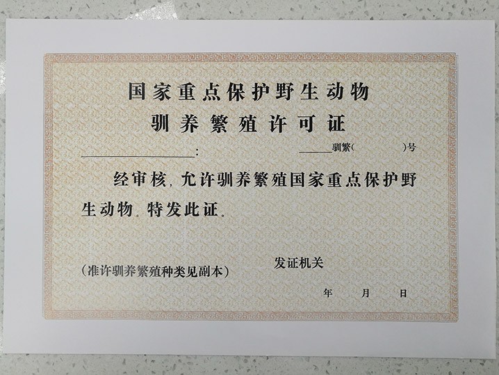 上山捡了野鸡蛋,山上捡的野鸡蛋孵出来能活吗