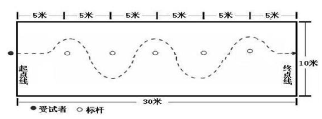 台州市中考2024体育测试时间,台州中考体育40分都什么项目