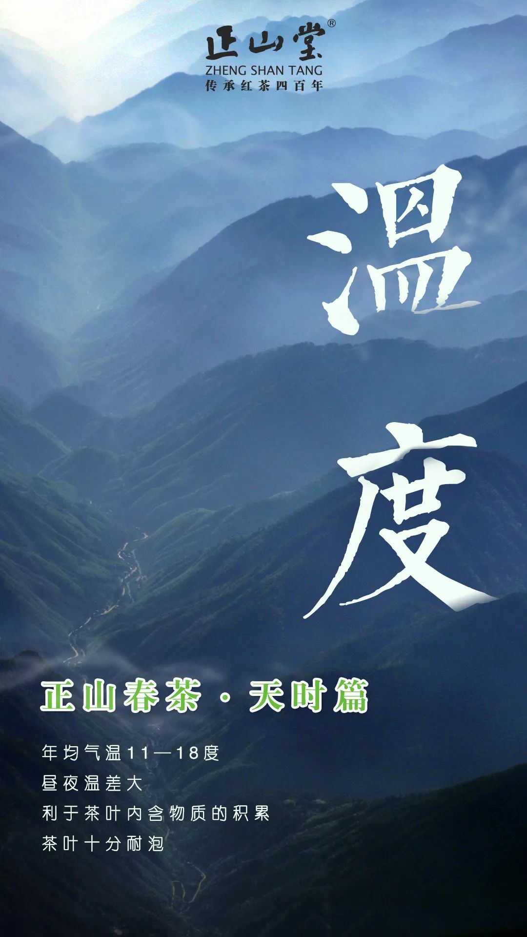 鹰潭金骏眉加盟要什么条件,国内品质好的金骏眉加盟条件