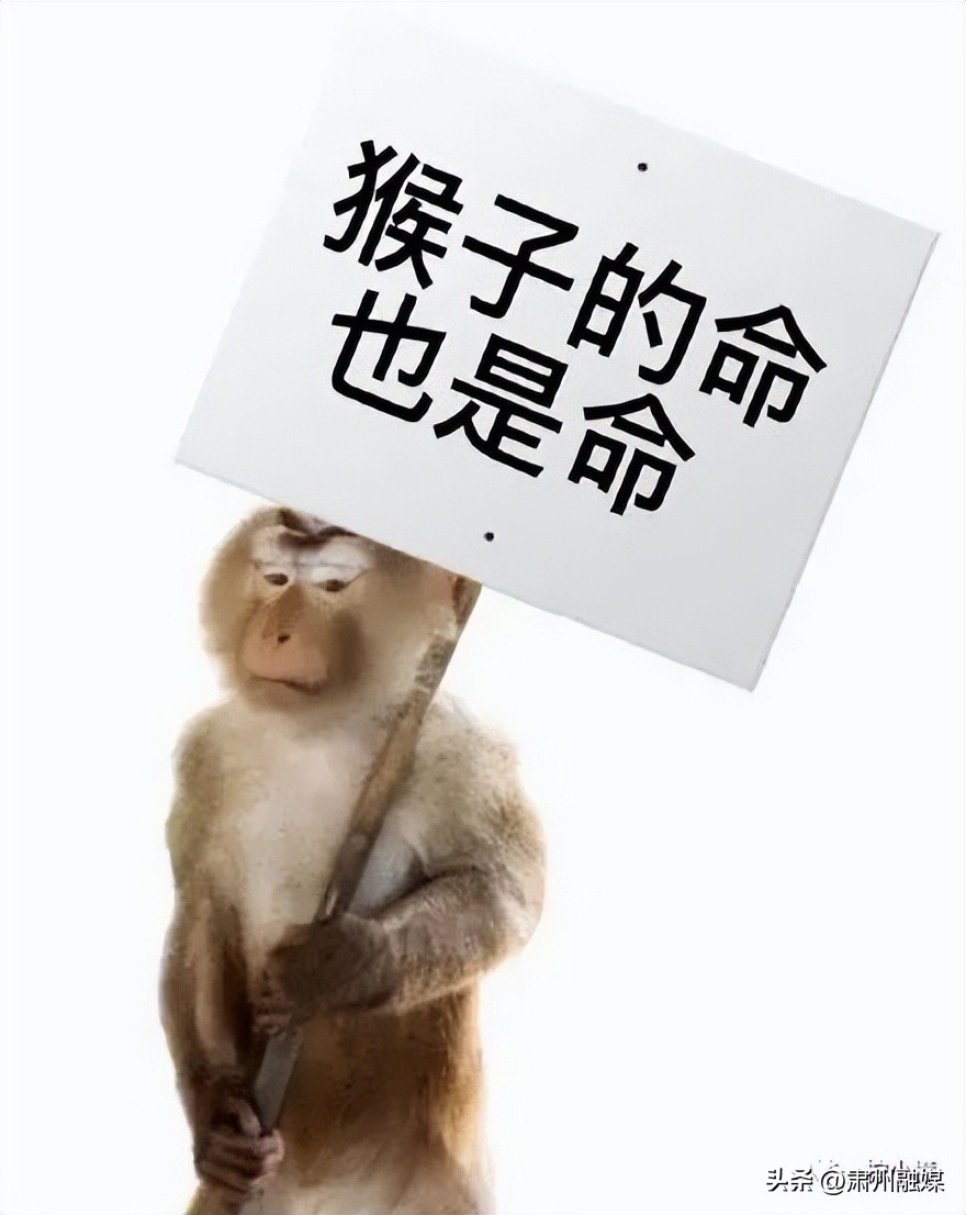 盘点那些在网购的山寨货,盘点那些网购的山寨物品