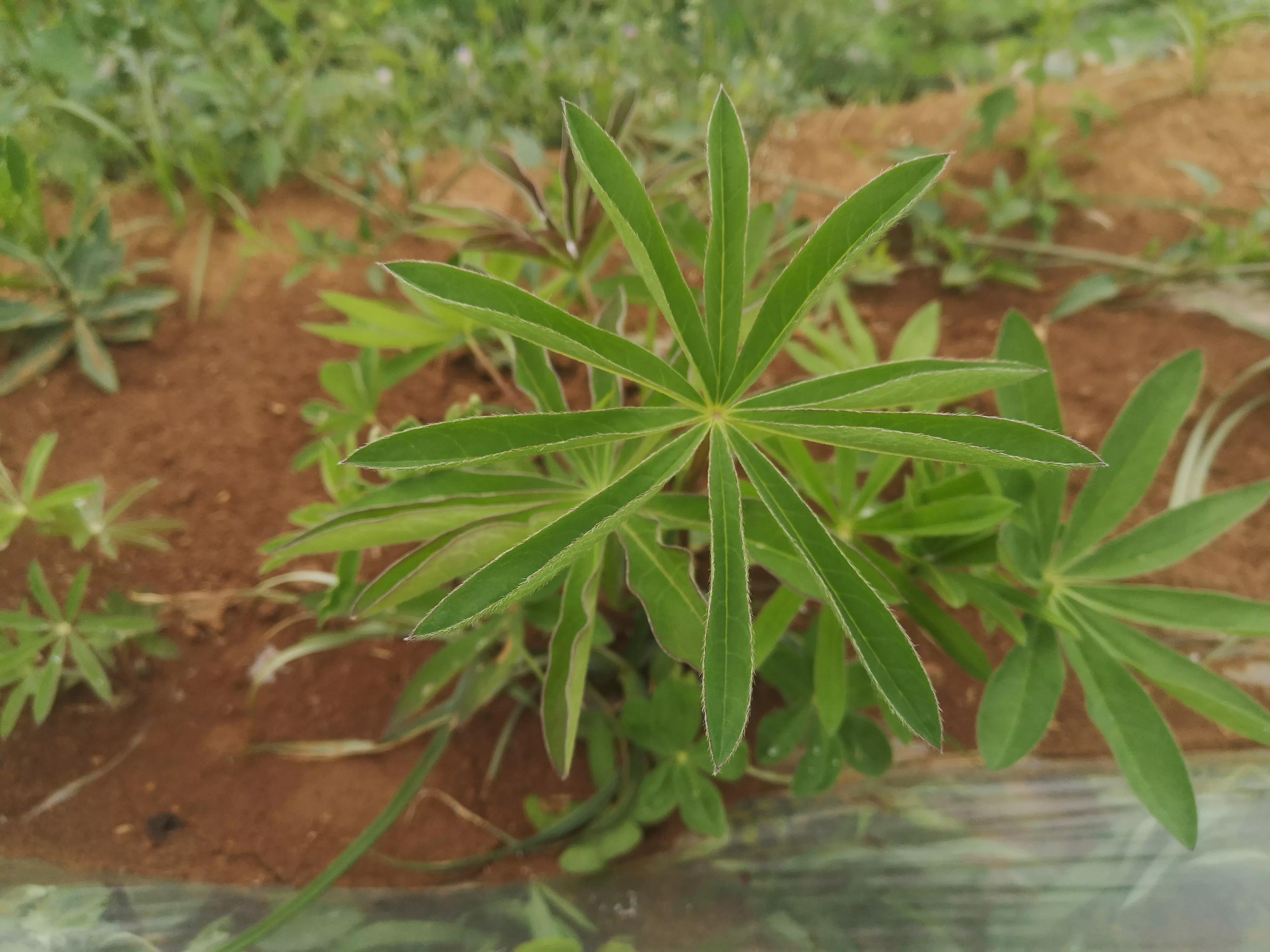 民间故事乡村故事会,乡村故事会传话