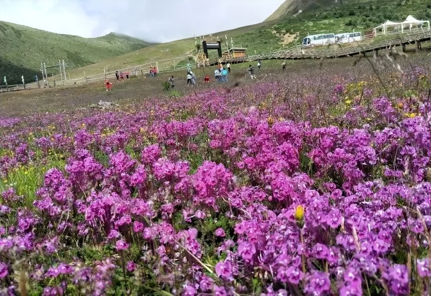 2021年中国旅游日四川景点优惠,四川中国旅游日优惠