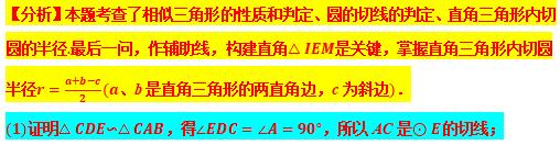 相似三角形专题精讲附例题,专题24相似三角形的判定与性质