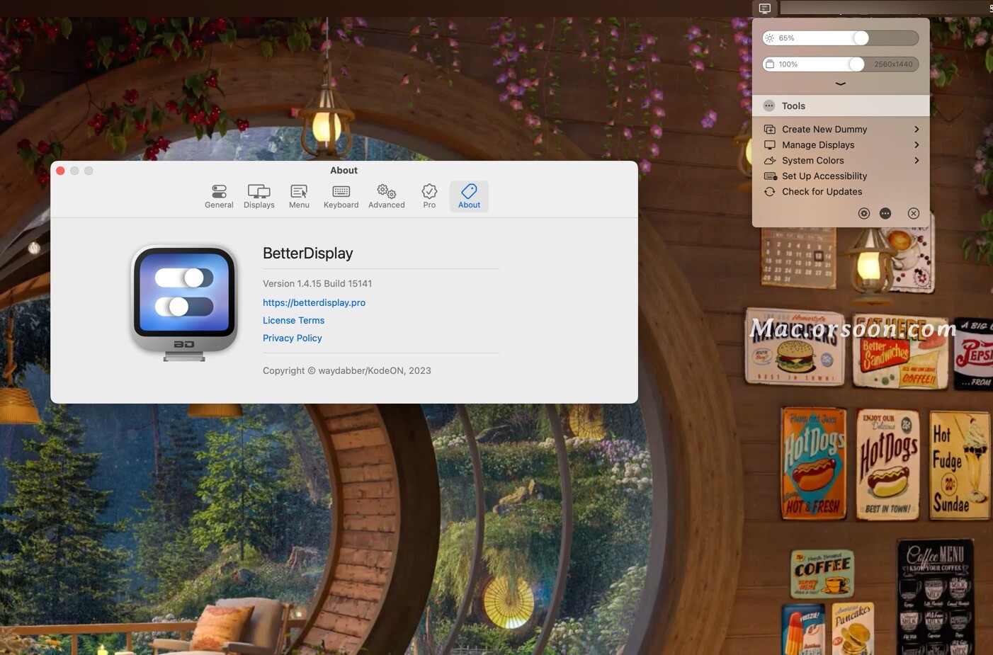 betterdisplaypromac,betterdisplayproformac