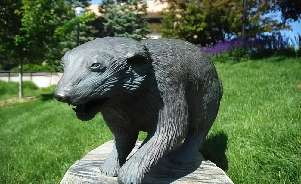 作为公校三巨头之一的宝藏大学，你必须知道！密歇根大学