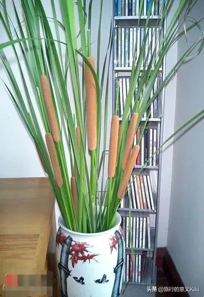 上海自驾西山旅游攻略,苏州东山一日游自驾游最佳路线图