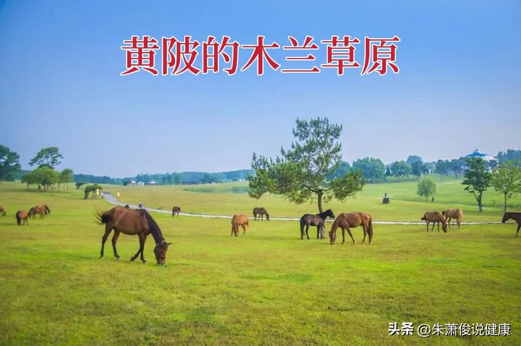 武汉最有名的中医大师,武汉汉口中医最厉害的十大名医