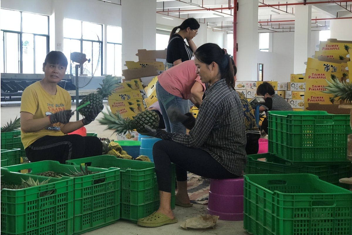 打造农村电商特色产业,乡村特色产业电商发展方向