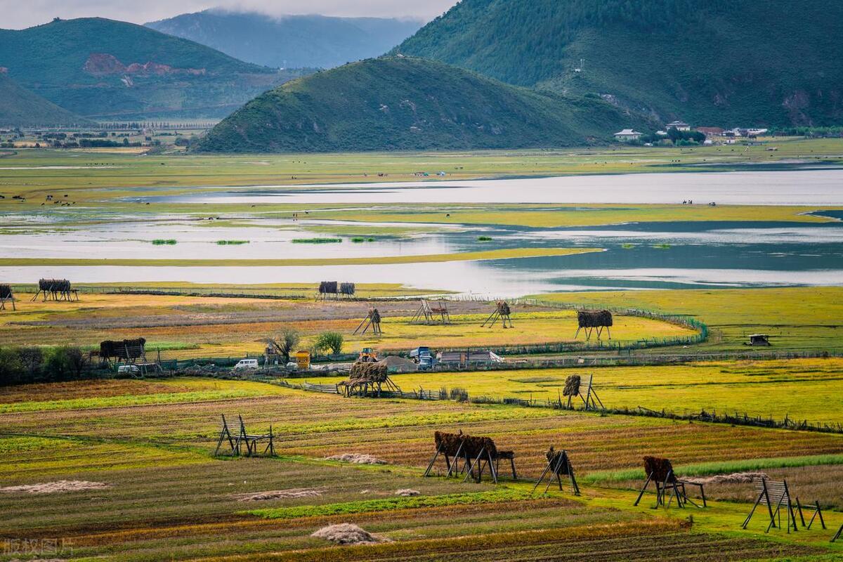 有机农场要建设到什么环境,有机牧场怎么运作的