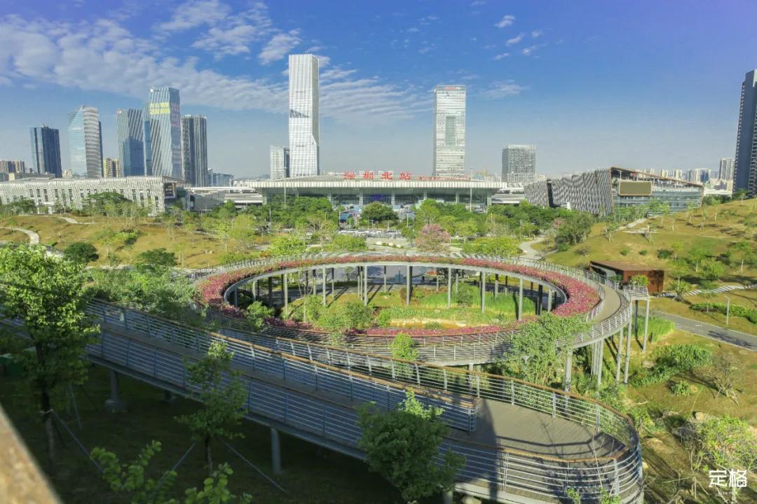 雨林打卡网红地滑梯,深圳哪里有超大型滑梯