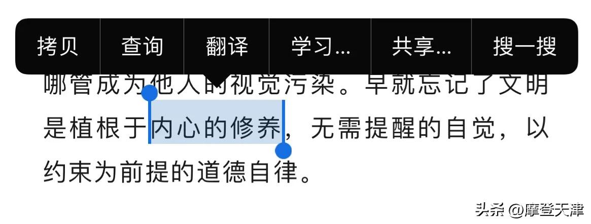 天津静海区最美的风景,天津市内最美的风景