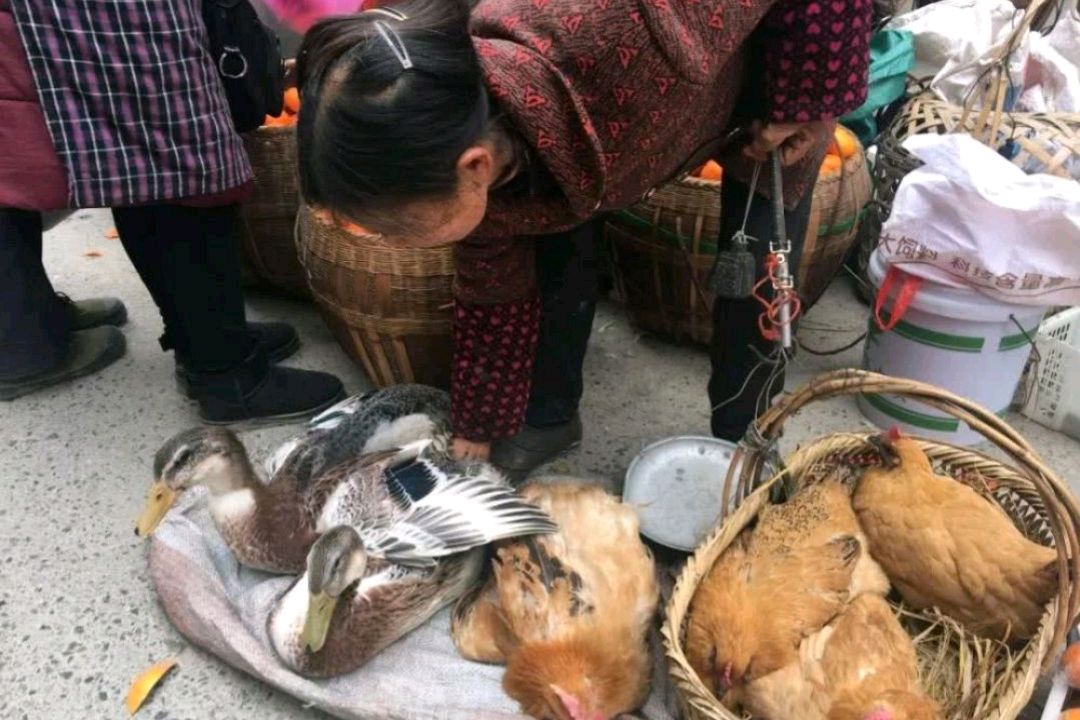 农村集市上的假货有哪些,农村大集上三样东西千万别买