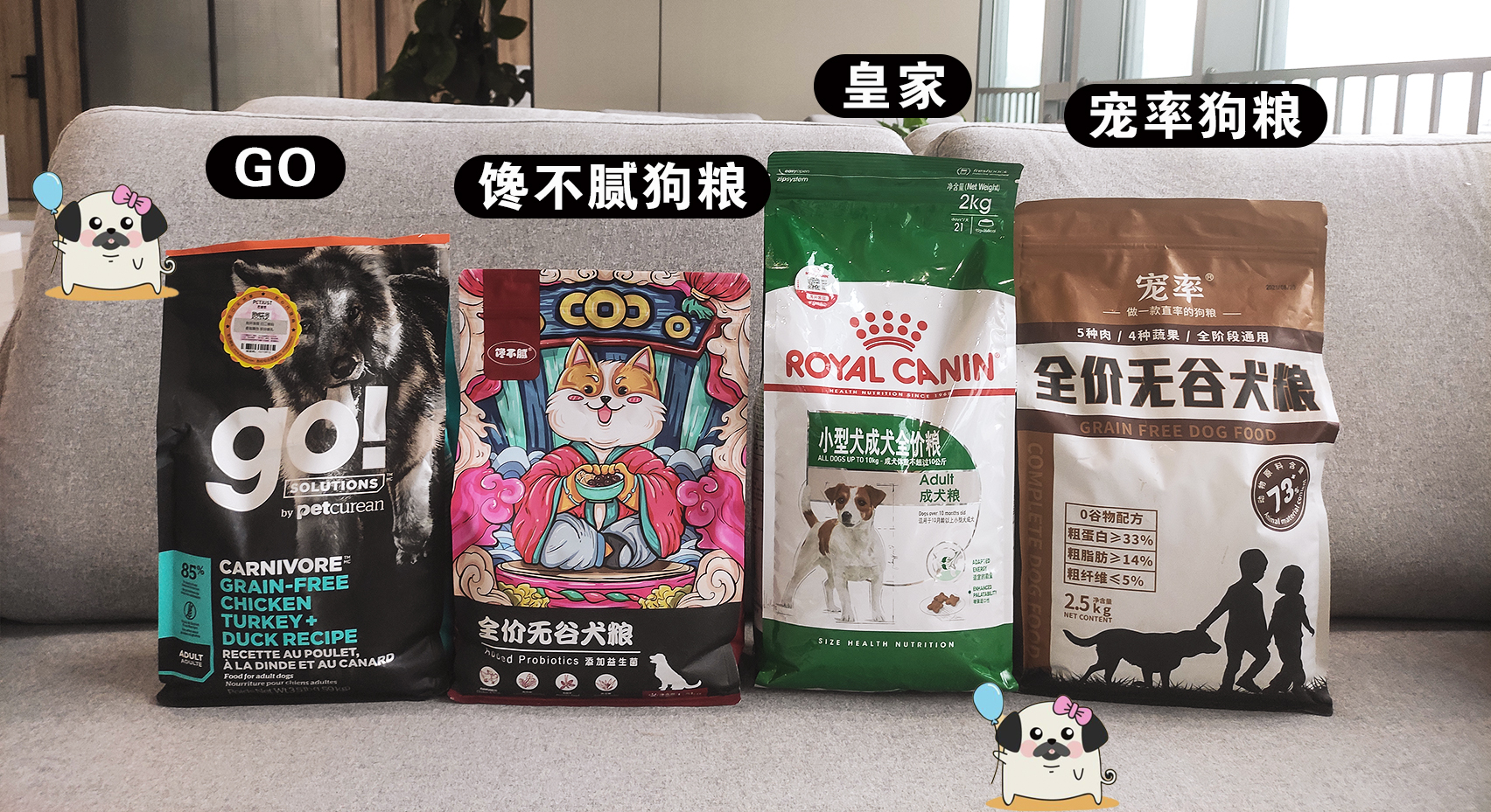 狗子有窝不睡,狗子睡觉前为什么喜欢刨一会窝