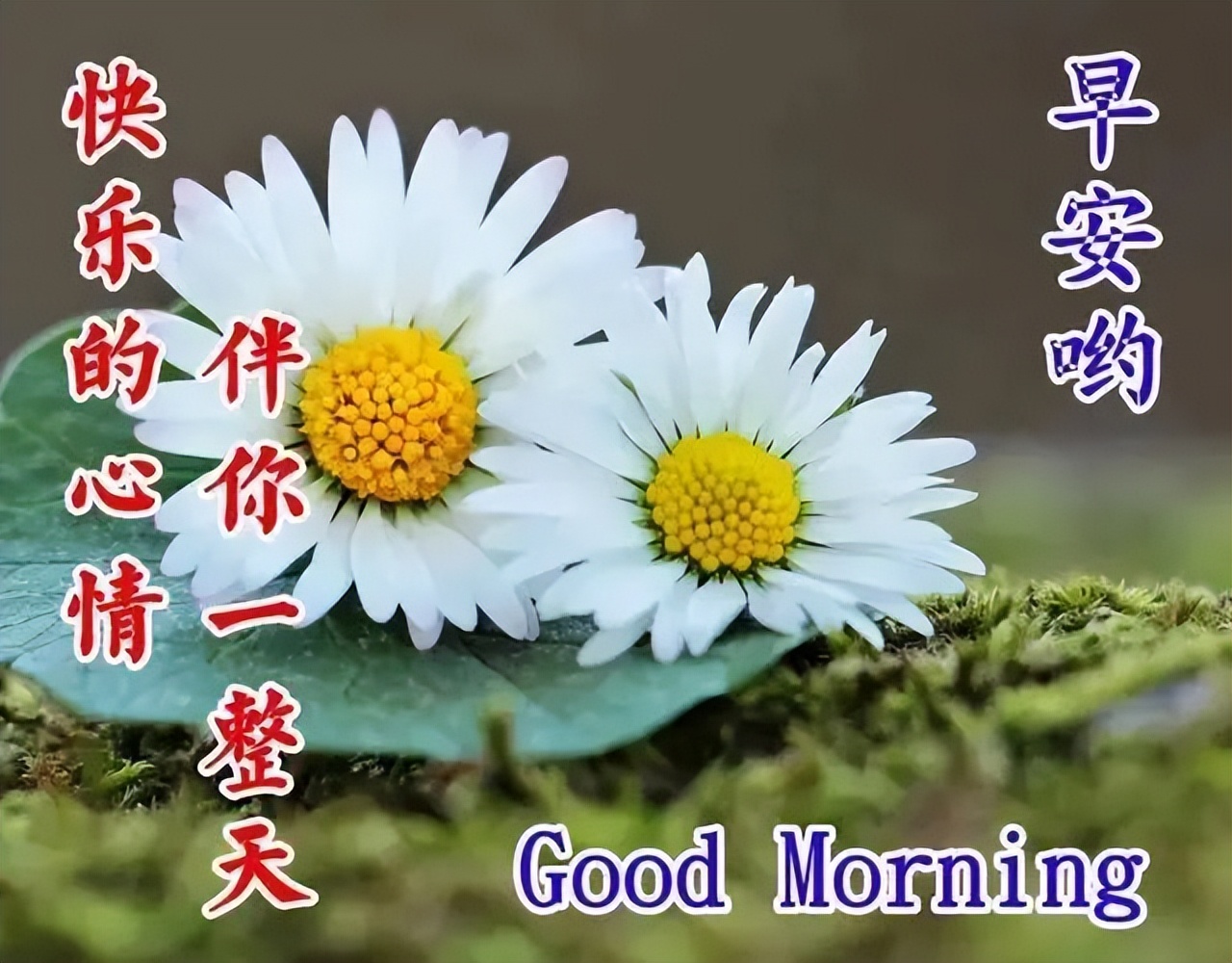 问候语祝福朋友的句子暖心,问候祝福朋友开心快乐的温馨句子