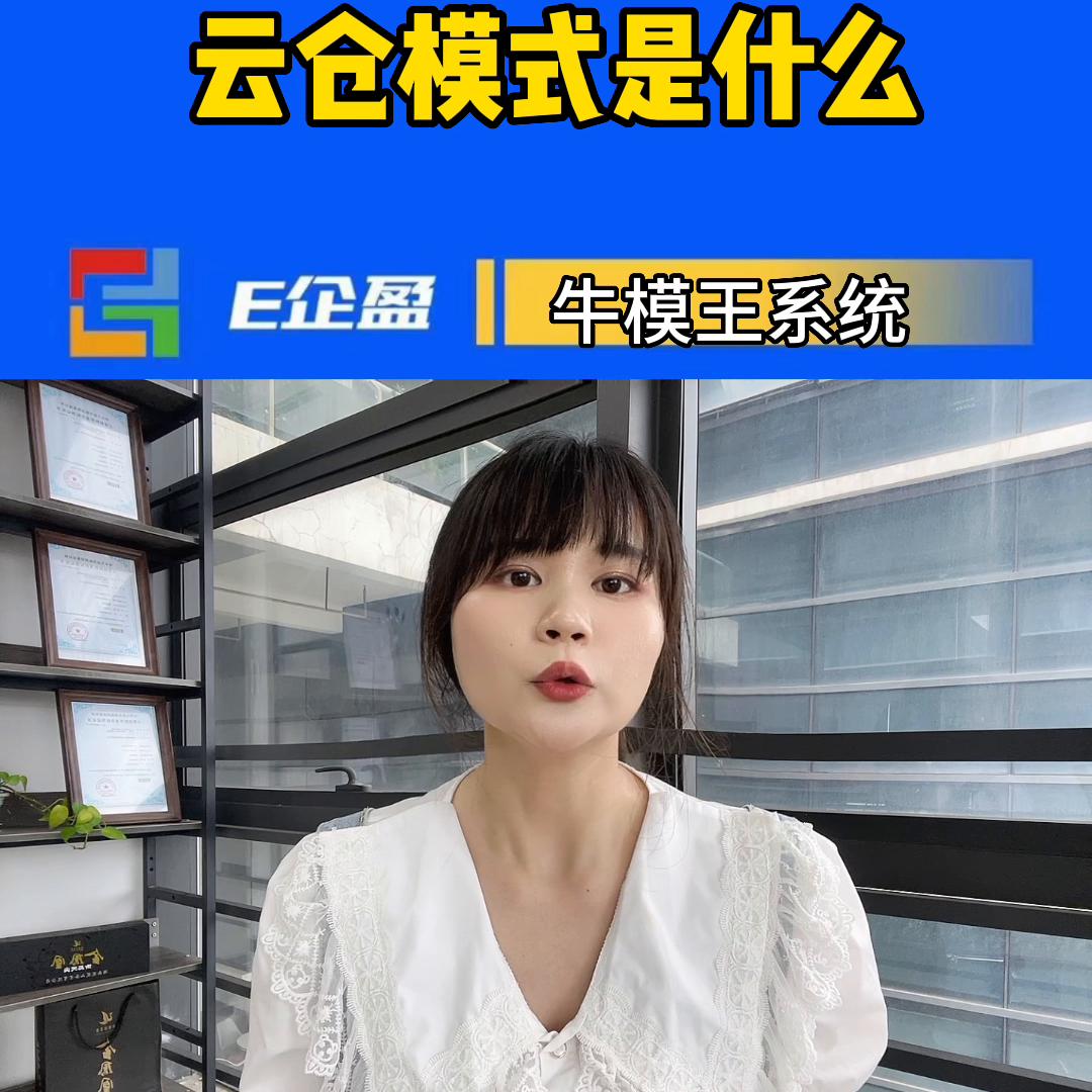 电商云仓的运作模式,社交电商都有什么玩法