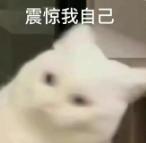 猩猩扔水瓶砸伤游客账号,动物园称猩猩砸伤游客系正当防卫