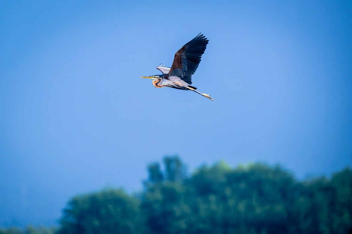持续读写再升级至誉NITRO系列CFexpressTypeB存储卡评测