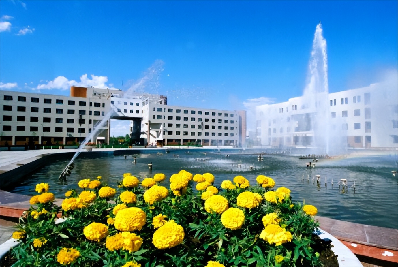 *疆新**的戈壁明珠之城，聚集的都是汉族人，成为西部百强县，石河子