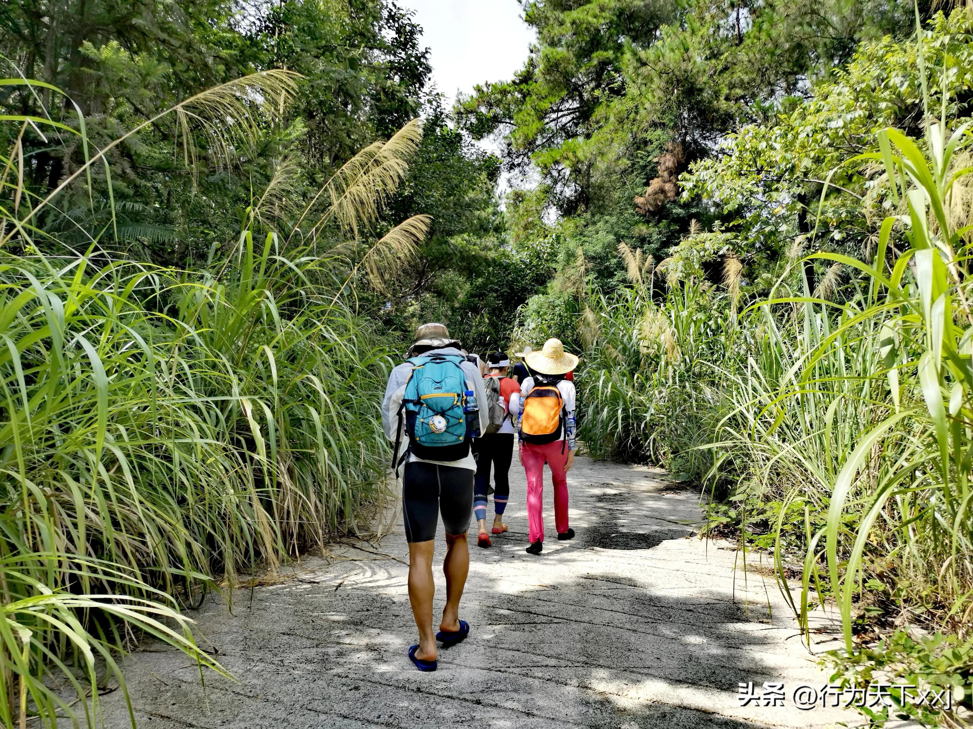 避暑天堂惹人醉完整版,避暑胜地康养天堂