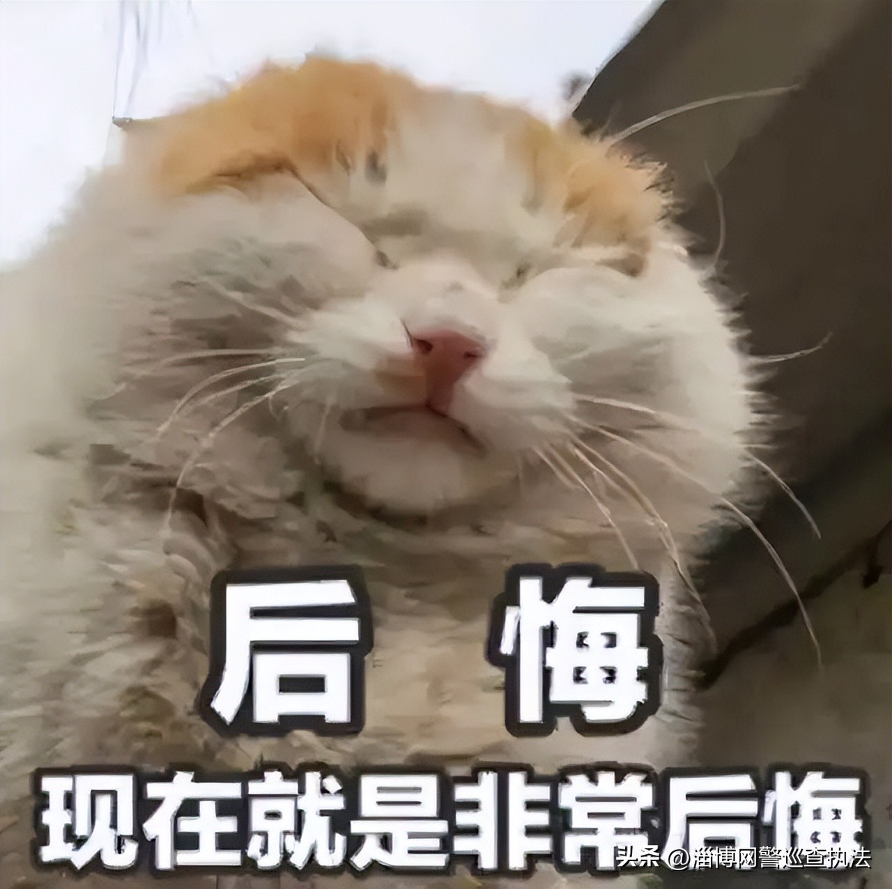 免费送礼品诈骗过程,警方能通过诈骗引流团伙破案吗